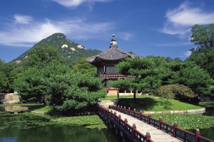 世界举重公开赛选手营养支持计划发布，举重世界大赛