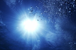 世界体能研究生联合项目启动：培养复合型训练与康复人才，体能训练研究生有哪些学校